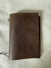Traveler’s Company Japan Leather Passport Sz Notebook Cover Olive (looks Brown!)