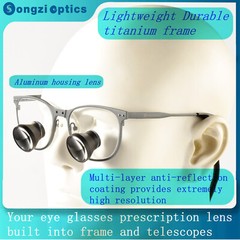 2.5X 3X 3.5X Optional Gray Titanium Frame TTL Dental Surgical Loupes Customized