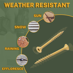 Wood Screws 1-1/2 Inch, Deck Screws #8 X 1-1/2″, 100 PCS, Rust Resistant, Epoxy