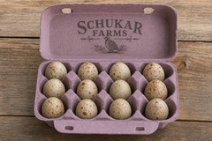 Coturnix Quail Hatching Eggs – 1 Dozen (12 Eggs) – Mixed Colors
