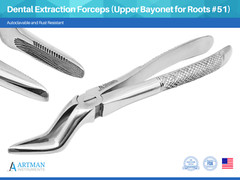 Dental Extraction Forceps (Upper Bayonet for Roots #51) ARTMAN