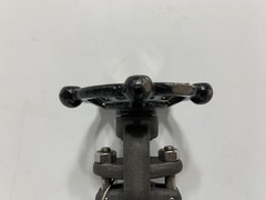Warren 851-8-T-624 1/2″ Gate Valve CL800 A105N