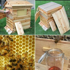 7Pcs Auto Seeping Honey Hive Beehive Frames + Beekeeping Cedarwood House Boxes