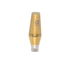 Anatomic Titanium Angulated Abutment 17 Degree Angle Regular Ø5.0mm For Hiossen