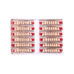 Dental Acrylic Resin Denture Teeth False DIY Full Set Anterior Posterior A1A2A3