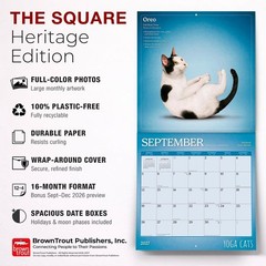 Yoga Cats OFFICIAL | 2027 12×24″ (Hanging) Square Wall Calendar | Plastic-Free