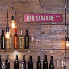 BLONDE BLVD Vintage Style Street Sign Metal Plastic hair blondie stupid blondes