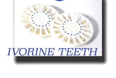 Replacement Teeth Typodont 860 (5 pack) Compatible With Columbia Brand