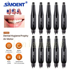 Dental Prophy Handpiece Mini Hygiene Low Speed Air Motor 4 Hole 2.4oz Nose Cone