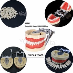 For Kilgore Nissin 200 500Typ Dental Teeth Model Removable Teeth Replacement Set