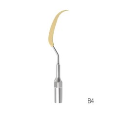 Ultrasonic Dental Scaler Tip Cleaning Implant Dental Orthodontic Teeth Dentures