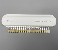 Ivoclar Vivadent Dental Shade Guide A-D 20 IPS Natural Die ND1-9 Bleach Teeth US