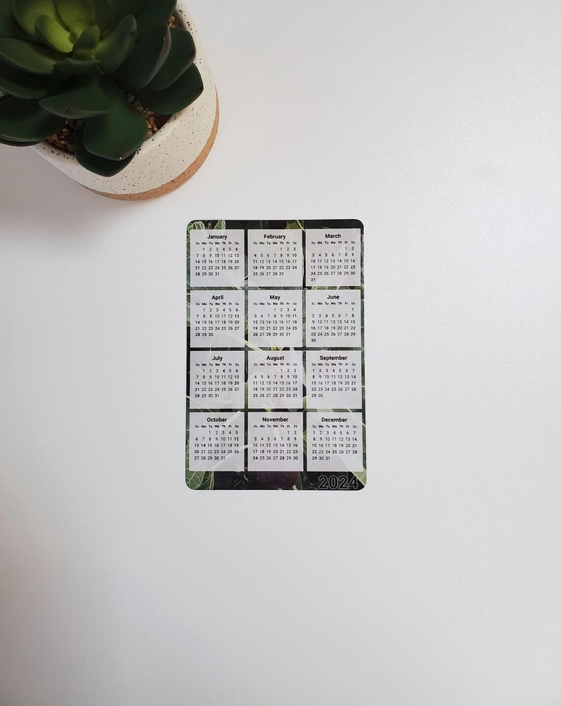 Fig Tree Photo Calendar Magnet 4″ x 6″ | Start On Any Month | Magnet Calendar