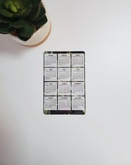 Fig Tree Photo Calendar Magnet 4″ x 6″ | Start On Any Month | Magnet Calendar