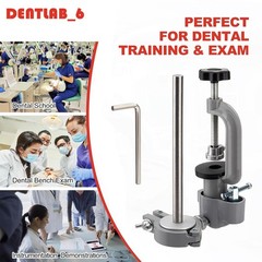 Dental Typodont Mounting Pole Teeth Model 360° Rotating not Teeth Model New