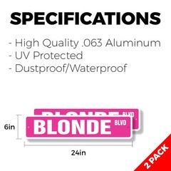 BLONDE BLVD Street Sign (2 Pack) Metal Plastic hair blondie stupid funny blondes