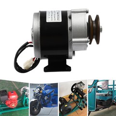 Brushed Motor Gear Reduction Electric Motor Gear Motor w/ Belt Pulley 12VDC 250W
