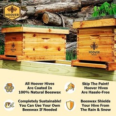 Hoover Hives Complete 10 Frame Beehive Kit Double Wax Dipped Langstroth