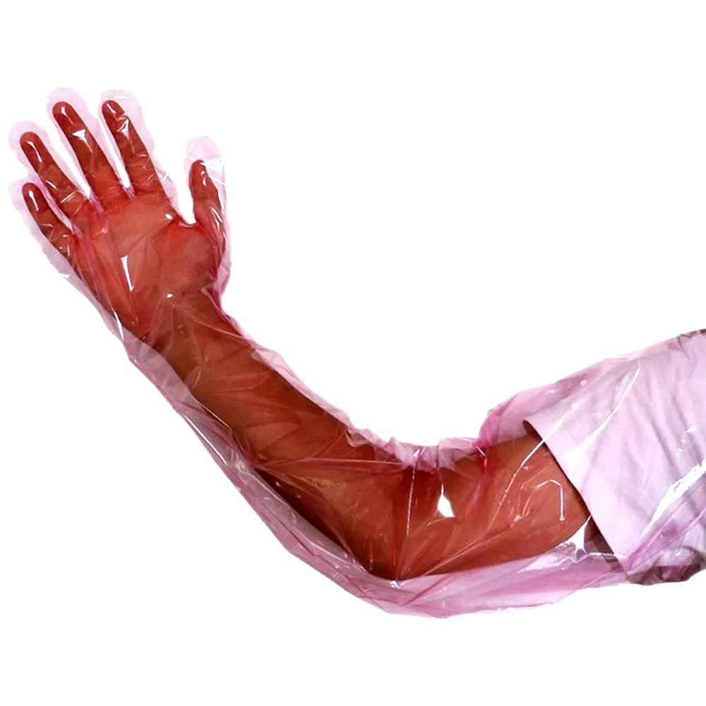 50 Pcs Insemination Long Gloves Disposable 50 Count (Pack of 1), Clear