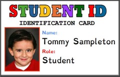 Custom Printed PVC Card Name Badge Printed PVC Plastic Credit Card Sized