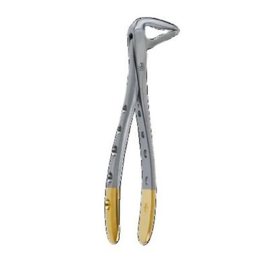 Best Instruments 1043 Atraumatic Extraction Forceps #P-2 Lower Anterior