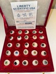 Human Prosthetic Eyes – Mixed Set – 25 to 200 Pcs – Fast USA Shipping