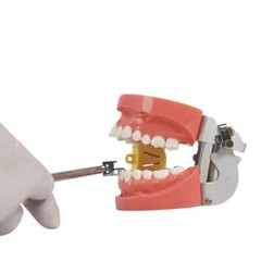 Dental Bracket Positioning Movable Head Height Gauge Orthodontic Adjust S/M/L
