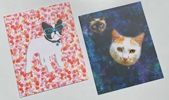 Staples 3-Pocket High Quality Premium Fashion Portfolio Paper Folder Assorted