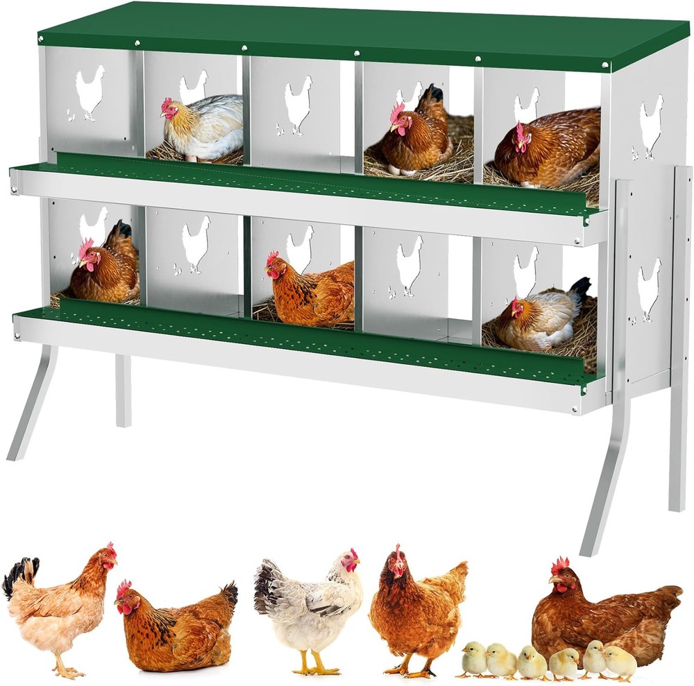 Chicken Nesting Box 10 Compartment Metal Easy Collection & Easy Cleaning W/ Legs
