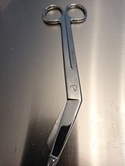 Vintage SS Pakistan Medical Surgical Scissors Pair