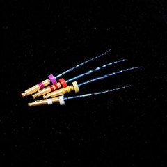 Dental Endodontic Endo X-TWO S File Rotary NITI Root Canal File For Motor 1/10pk