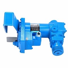12V 20GPM Fuel Transfer Pump Diesel Gas Gasoline Kerosene w/ Particulate Filter