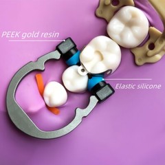 Dental Matrix Band Sectional Matrices Refill Wedge Matrice Plier Clamps Ti Ring
