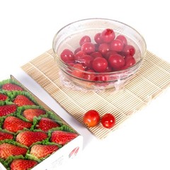 Ecoopts 100 Compostable Plastic Cling Wrap Dispenser Slide Cutter 12 Inch Food