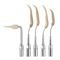 Dental Ultrasonic Scaler Tips Fit EMS WOODPECKER-UDS Handpiece Cleaning Implant