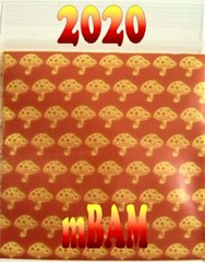 500 LOT APPLE MINI ZIP BAGGIES 2.5 & 3.0mil 2020 1515 125125 YOUR CHOICE