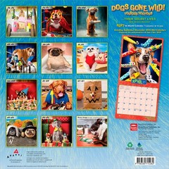Avanti Dogs Gone Wild OFFICIAL | 2027 12×24″ (Hanging) Square Wall Calendar