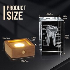 3D Crystal Human Tooth Model, Black Gift Packaging, Wood Base with Yellow Light