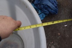 Mixing Tank Model w/Control, Motor, Impellor, & Stand 115V