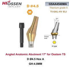 US 17° Angulated & Straight Transfer Abutment Fit Osstem/Hiossen Hex Titanium