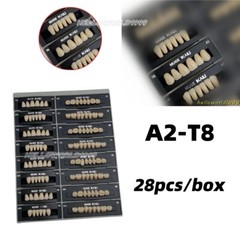 Dental Acrylic Resin Denture Teeth A2 T8 Full Set False Teeth Upper Lower