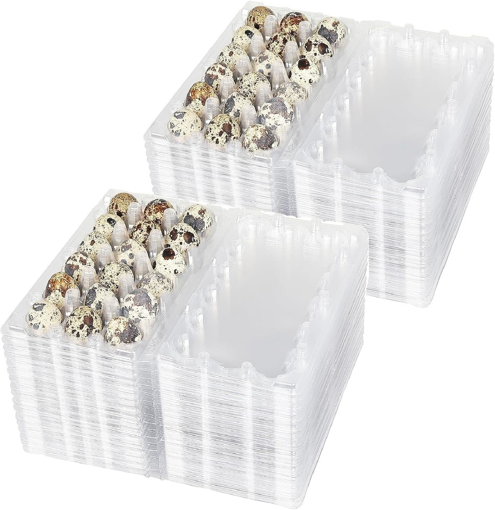 Quail Egg Cartons 18 Cell (3×6) 100 pcs – Secure Snap Close, Fast Shipping