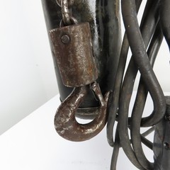 CM Valustar Model WF 1/2 Ton 1000LB Electric Chain Hoist 15′ Lift 16FPM 1Ph 115V