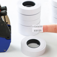 10 Rolls Labels Paper Suitable for MX-6600, MX-6602, YH-689 Price Tag 2-Line …