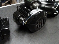 Bodine Electric Motor 1800 RPM 115V 1 Phase 48Y5BFDY