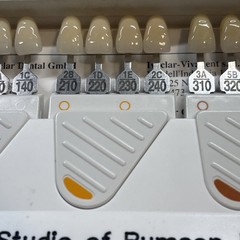 Ivoclar Vivadent Chromascop Tooth Shade Guide Dental