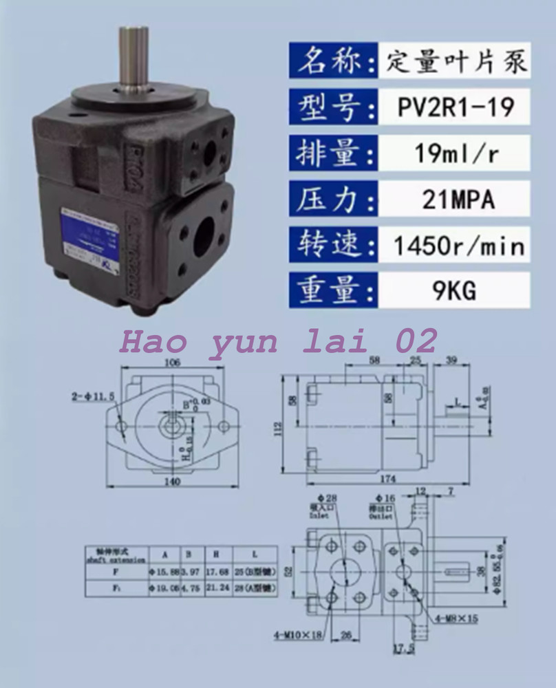 1PC New For YLC PV2R1-19RAF1 Variable Vane Pump 19ml/r 21MPA 1450r/min