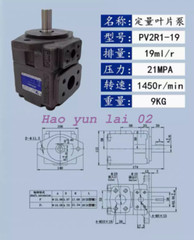1PC New For YLC PV2R1-19RAF1 Variable Vane Pump 19ml/r 21MPA 1450r/min