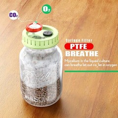200pcs PTFE Membrane Syringe Filter Luer lock 25 mm 0.22 um PP Pr-filter for Lab
