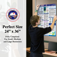 2025 California CA LABOR LAW POSTER (Federal & State) English Laminated